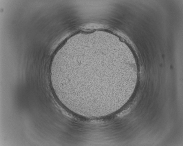 X0000067900529200605111919