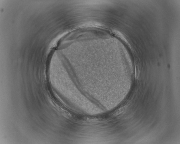 X0000067900531200605111919