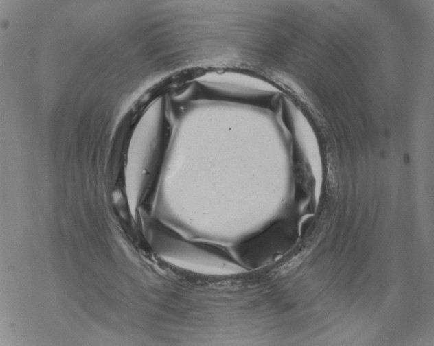 X0000067900532200605111919