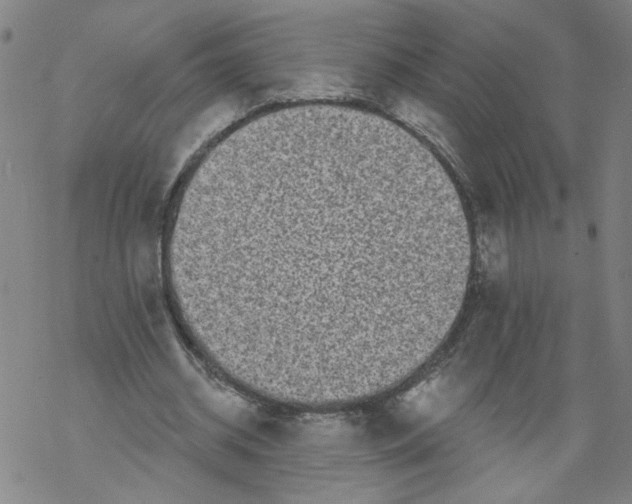 X0000067900534200605111919