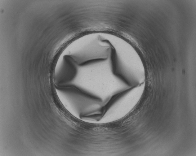 X0000067900535200605111919