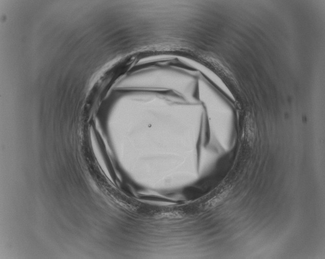 X0000067900536200605111919