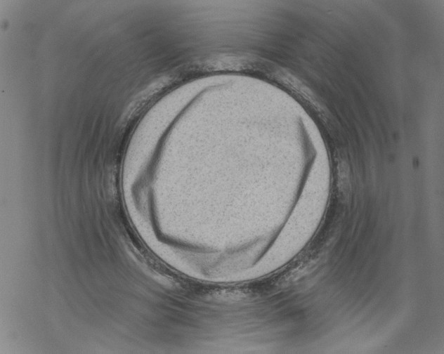 X0000067900537200605111919