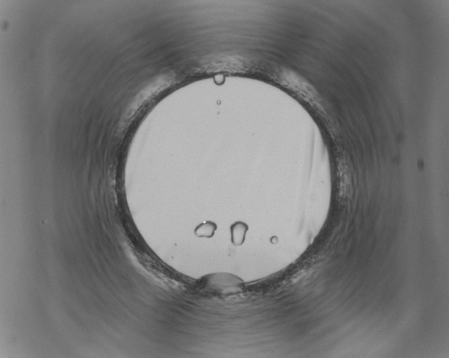 X0000067900538200605111920