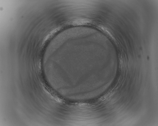 X0000067900539200605111920