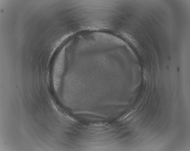 X0000067900540200605111920