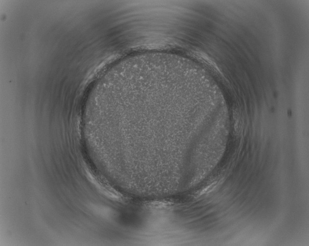 X0000067900542200605111920