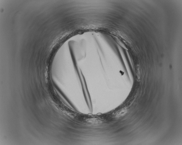 X0000067900544200605111920