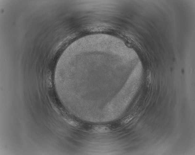 X0000067900547200605111920