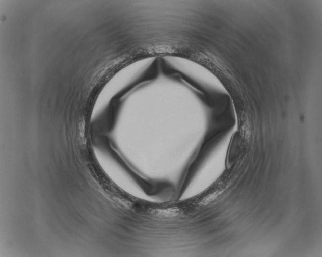 X0000067900548200605111920