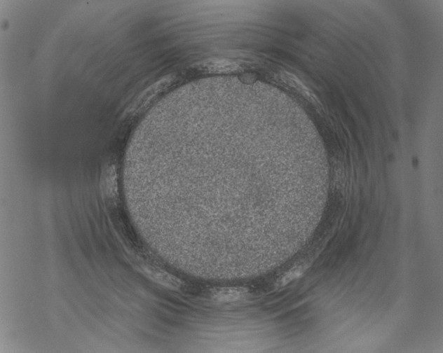 X0000067900549200605111920