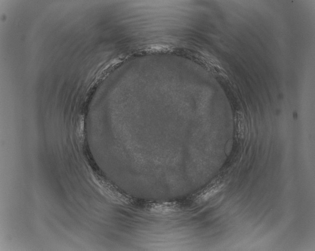 X0000067900550200605111920