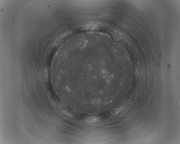 X0000067900551200605111920