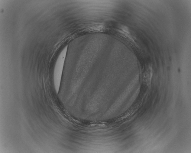 X0000067900552200605111920