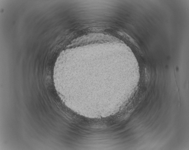 X0000067900553200605111920