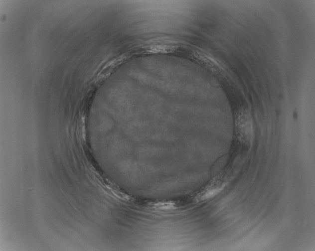 X0000067900554200605111920