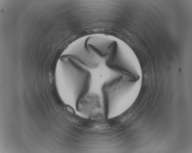 X0000067900555200605111920