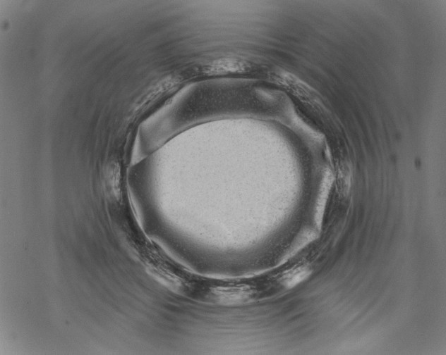 X0000067900556200605111920