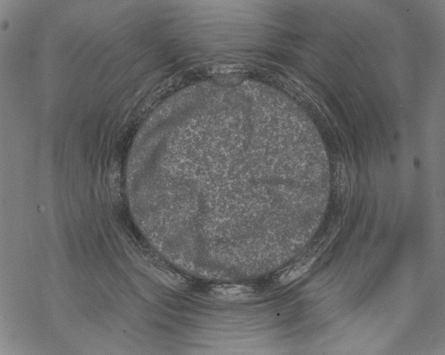 X0000067900557200605111920