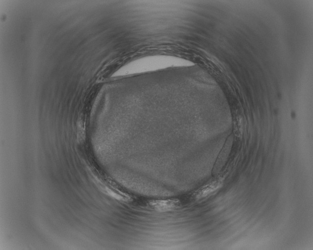 X0000067900558200605111920