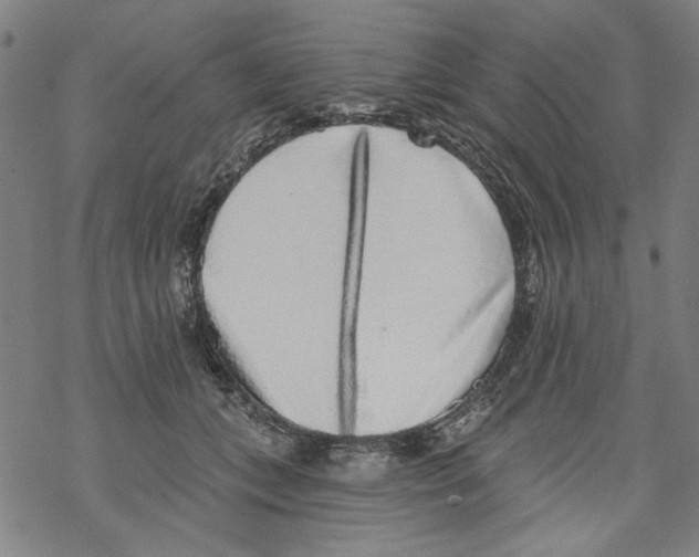 X0000067900559200605111920