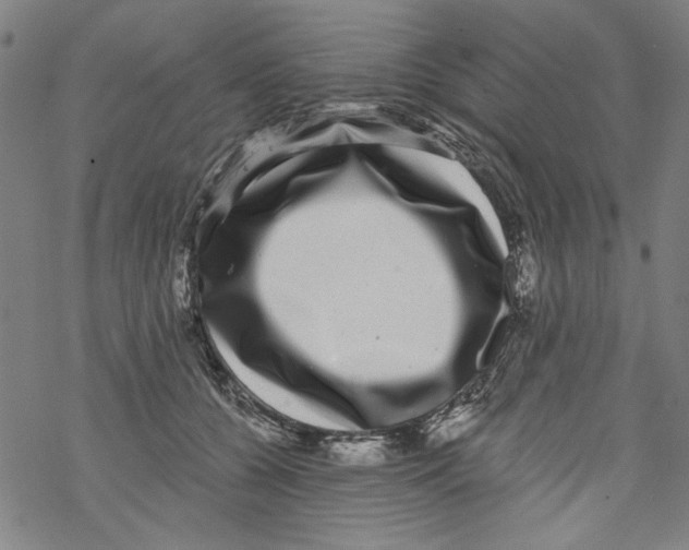 X0000067900560200605111920