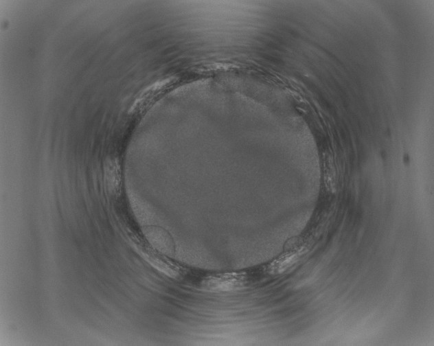 X0000067900563200605111920