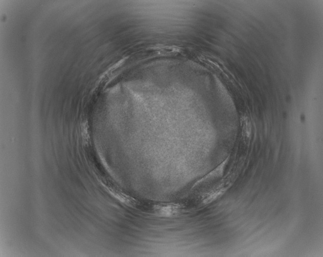 X0000067900564200605111920