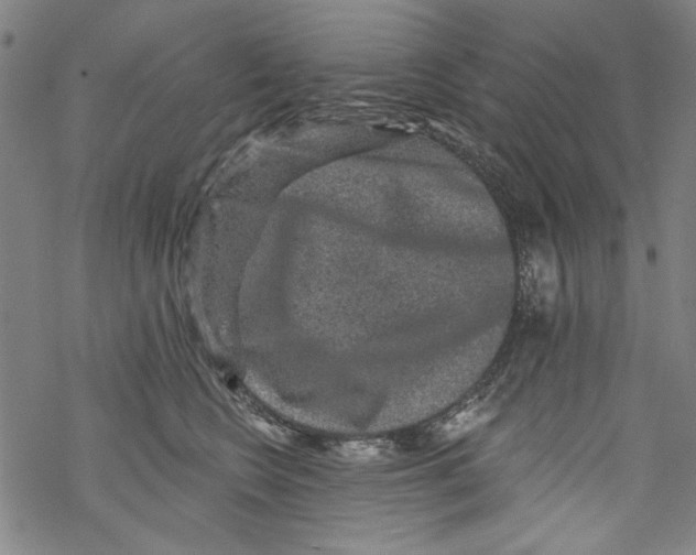 X0000067900566200605111920