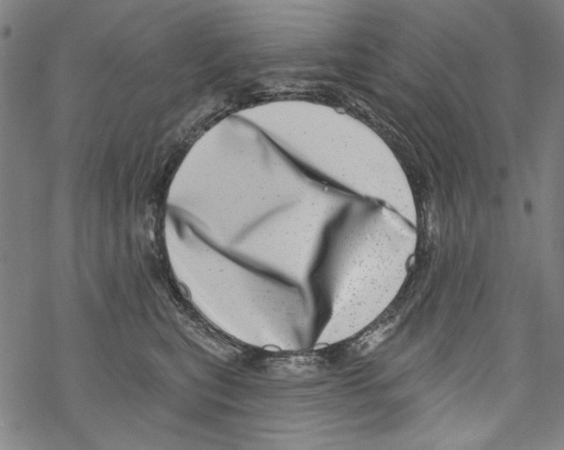 X0000067900567200605111920