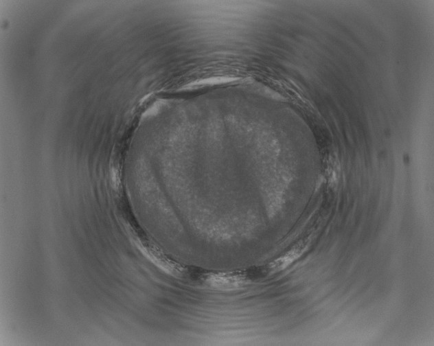 X0000067900568200605111920