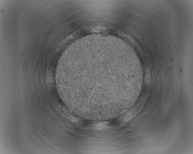 X0000067900569200605111920