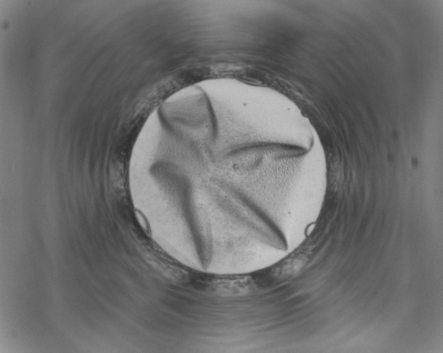 X0000067900571200605111920