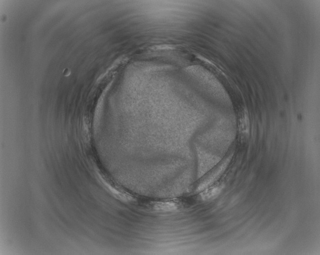 X0000067900572200605111920