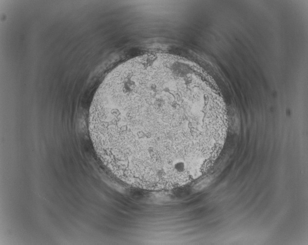 X0000067900573200605111920