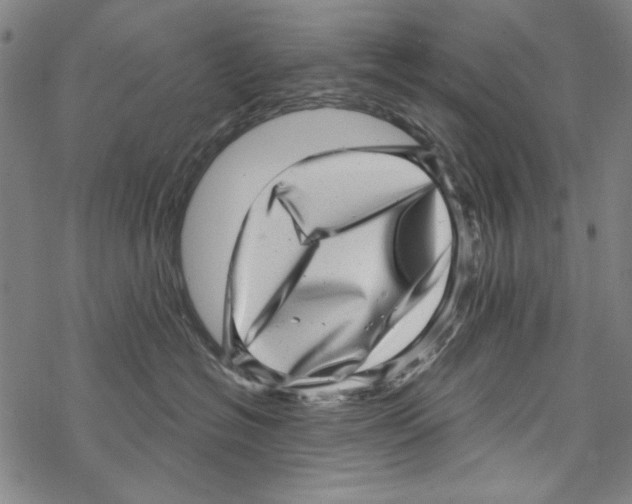 X0000067900574200605111920