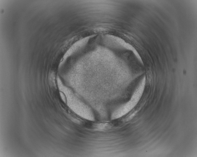 X0000067900575200605111920