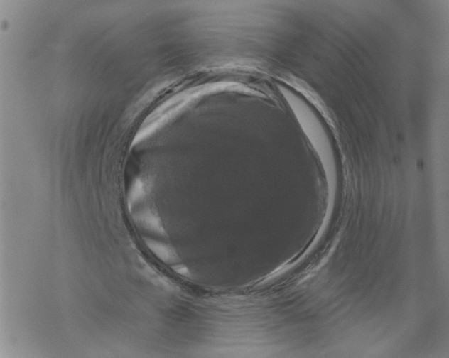 X0000067900577200605111919