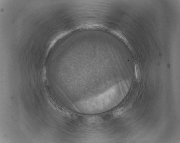 X0000067900579200605111919