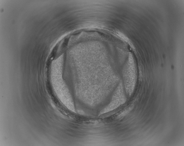 X0000067900580200605111919