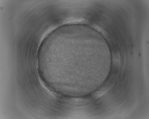 X0000067900582200605111919