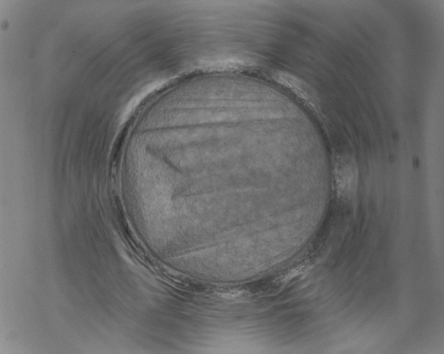 X0000067900583200605111919