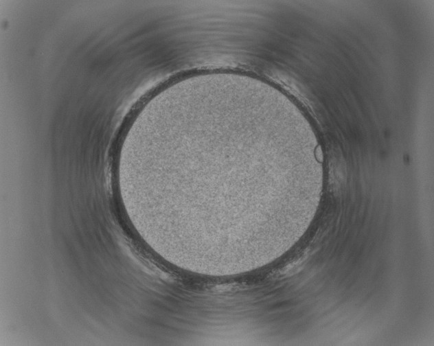 X0000067900584200605111919