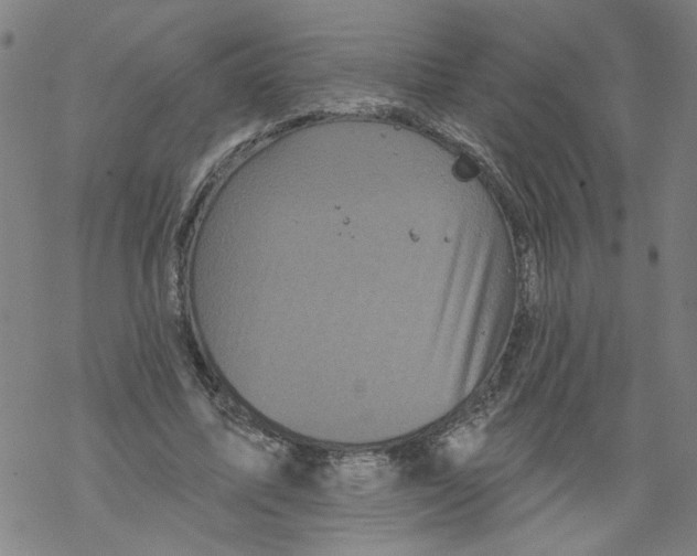 X0000067900587200605111919