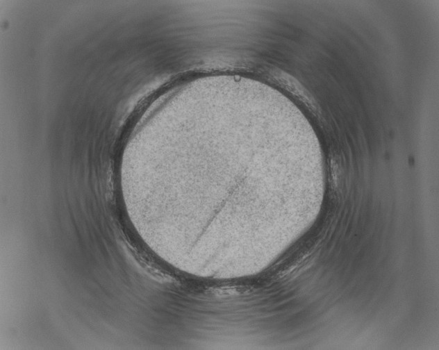 X0000067900588200605111919