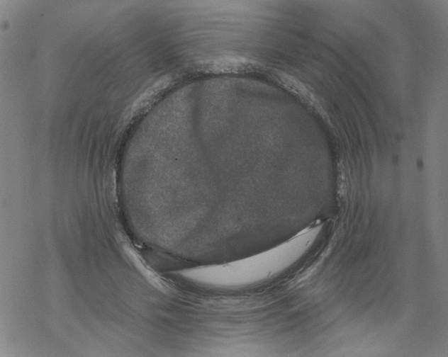 X0000067900589200605111919