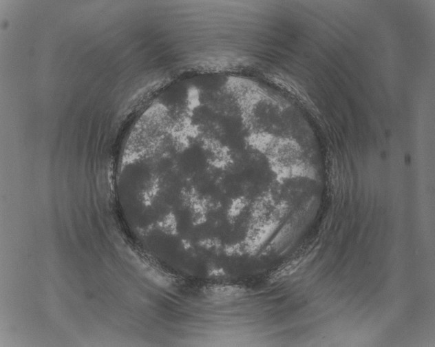 X0000067900590200605111919