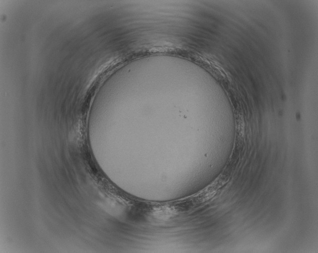 X0000067900591200605111919