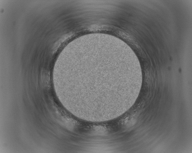 X0000067900592200605111919