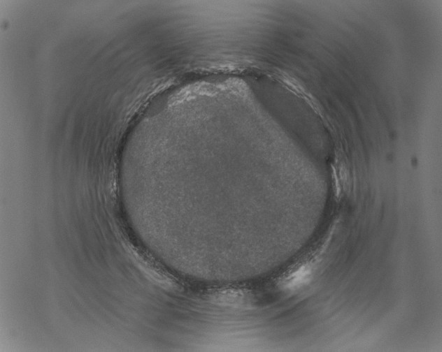 X0000067900593200605111919